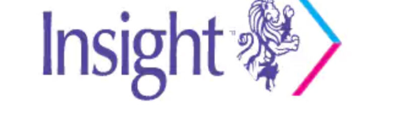 Insight private investigators